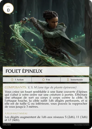 Carte Fouet épineux