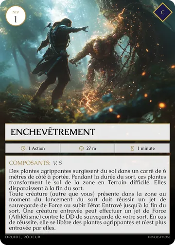 Carte Enchevêtrement