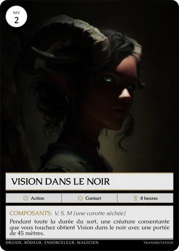 Carte Vision dans le noir