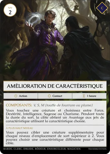 Carte Amélioration de caractéristique